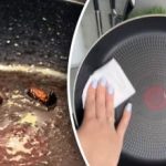 Kako očistiti razpršeno olje med cvrtjem: življenjsko pomembne življenjske vaje