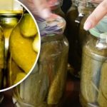 Zakaj so konzervirane kumare mehke: skrivnostni dodatek bo rešil vašo